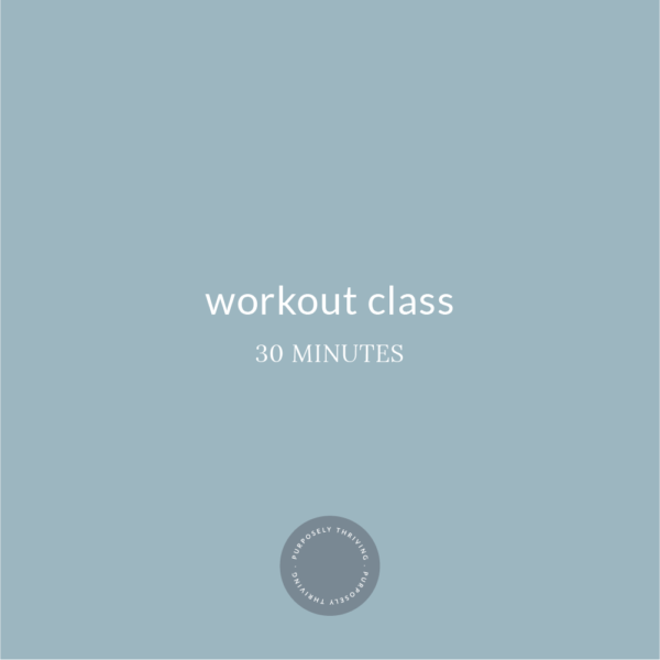 Wednesday Workout Class 12/18/24