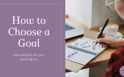 How to Choose a Goal