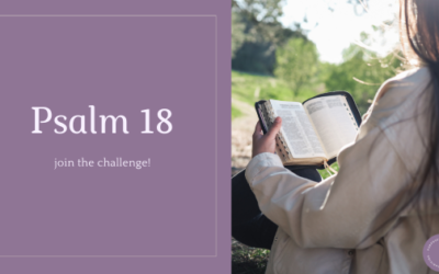 Scripture Challenge – Psalm 18
