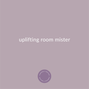 Uplifting Room Mister