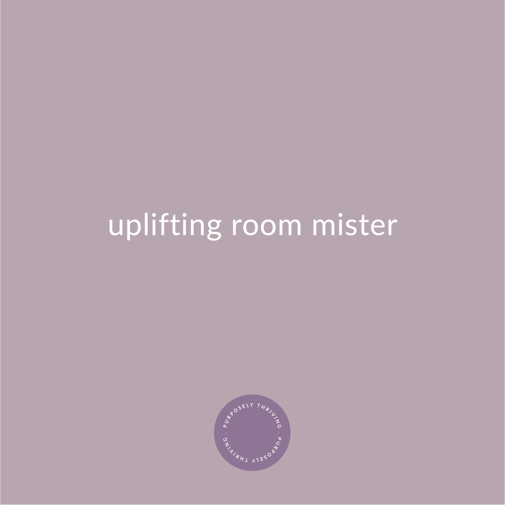 Uplifting Room Mister